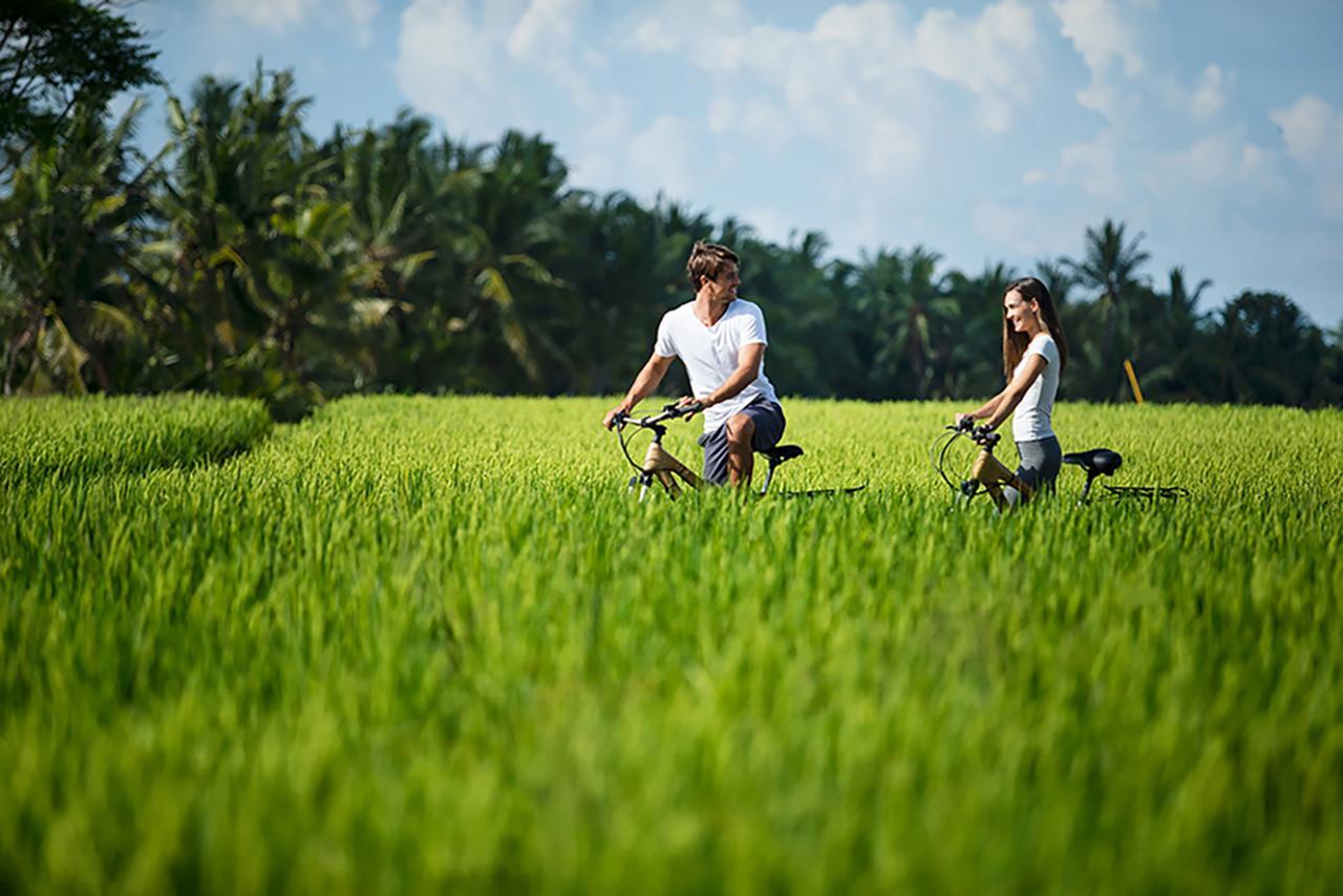 Tanah Gajah, A Resort By Hadiprana Ubud Exteriér fotografie